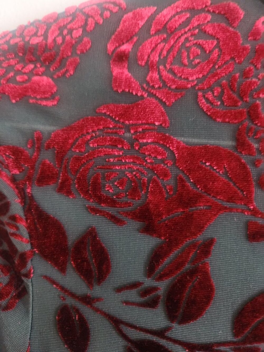Anthropologie mesh velvet Top - Picture 5 of 9